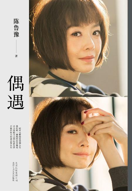 《偶遇》 陈鲁豫 北京十月文艺出版社