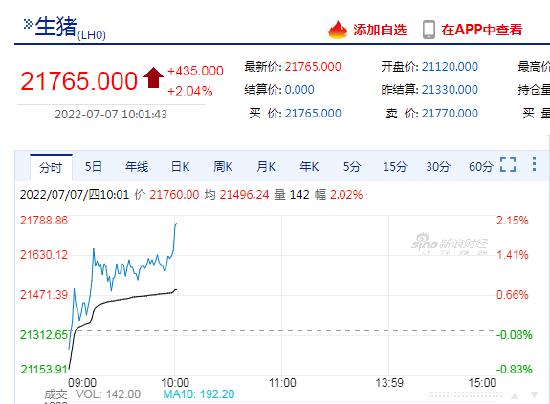 快讯：生猪期货早盘不断走高，日内涨超2%