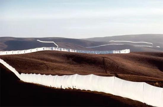 克里斯托作品“飞奔的栅篱(Running Fence)1972-76”
