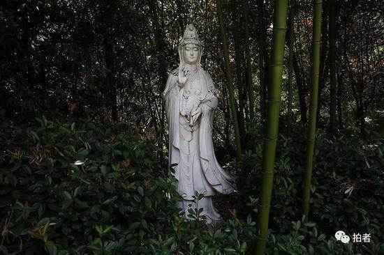 别墅门前,一尊汉白玉观音像矗立在植被中。
