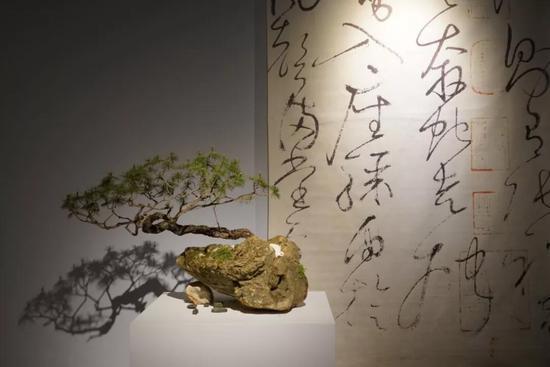 △展览现场