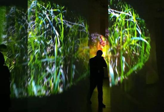 Pipilotti Rist展览“数码森林”(Pixel Forest)