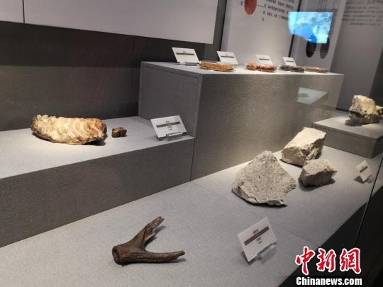 陈列的展品。 童笑雨 摄