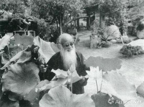 大千居士在摩耶精舍赏荷,即使没有荷池也要在荷缸植荷