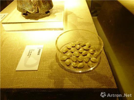 环纹货贝,西汉,晋宁石寨山墓地出土,长1.5 宽1 高0.7cm,云南省博物馆藏