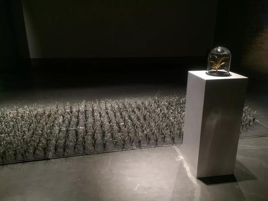 谭勋 草 金属 250x400x50cm 2018年