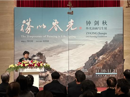 安远远,中国美术馆党委书记
