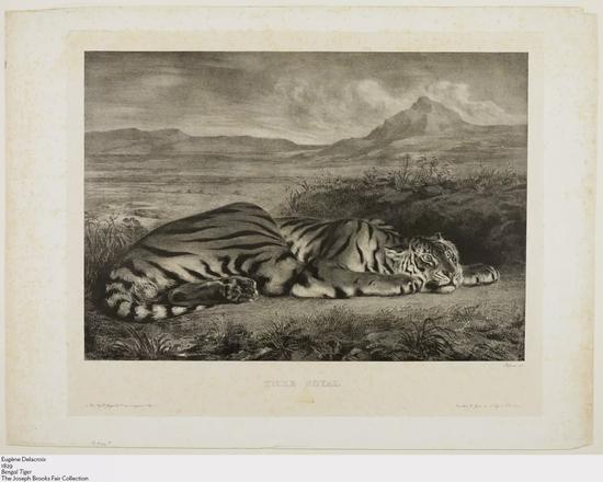 欧仁·德拉克罗瓦,《孟加拉虎》,1829年,芝加哥艺术博物馆,馆藏编号:1927.1645