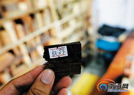 洪少友收藏的铁刀木标本。