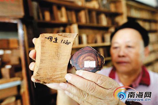 洪少友收藏了大量的海南名贵木材标本。海南日报记者 陈元才 摄