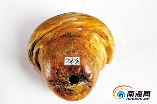 洪少友收藏的菠萝格标本。