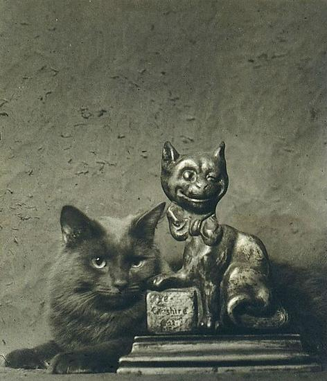 “Cat with Statue of Cat”,猫和猫的雕像,Arnold Genthe摄