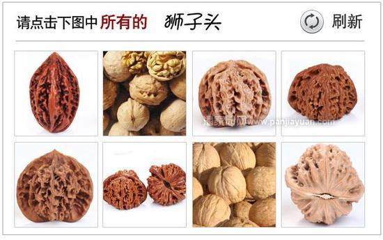验证码错误,请看正确答案!