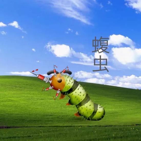 这大虫子……