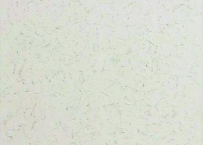 还有这几幅看上去就像刷墙工人用油漆随便刷出的墙面一样的画,每幅价格都高得令人咋舌。