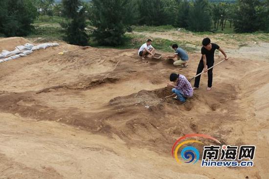 考古人员在三亚英墩新石器遗址进行第二季度的发掘工作