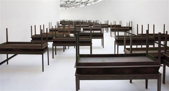 多丽丝·萨尔塞多(Doris Salcedo)在古根海姆的个展(2015年6月26日-10月12日)