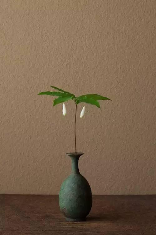 这些花,是川濑敏郎为纪念311地震中逝去的生命而创作的。