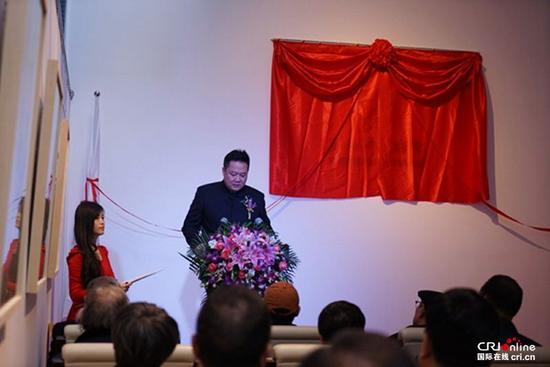 王鹏馆长讲话