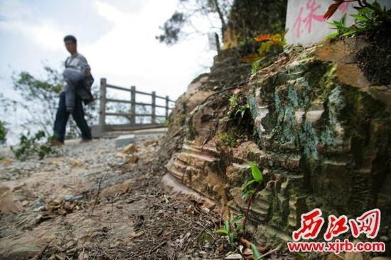 羚羊山古栈道森林公园内的古代纤痕。西江日报记者 梁小明摄