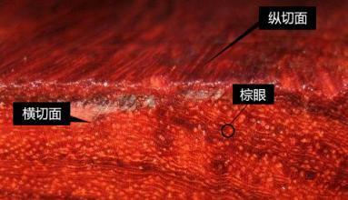 牛毛纹是紫檀竖切面上长短不一的细线,也称棕线。