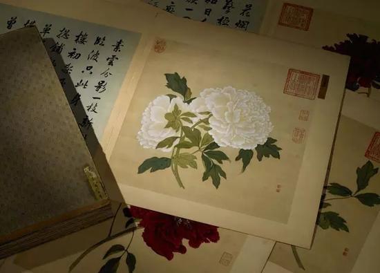 蒋廷锡 百种牡丹谱