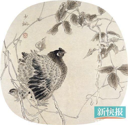 护雏