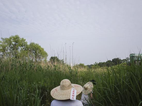 唐狄鑫,《天无草帽大》。图片:致谢艺术家及四方当代美术馆
