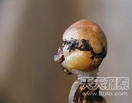 “族魂”奇石