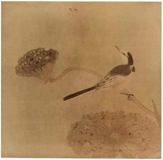 《疏荷沙鸟图页》 宋,绢本设色,纵25cm,横25.6cm