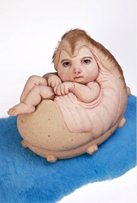 Patricia Piccinini(帕特里夏·皮奇尼尼)《新生物》