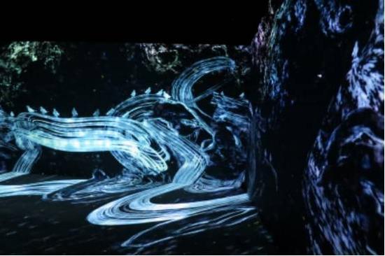 TeamLab《被追逐的玻璃、追逐与被追逐的玻璃冲撞盛开 - Light in Space》