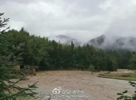 遗憾的是,昨日13时30分,它也被洪水冲走了。