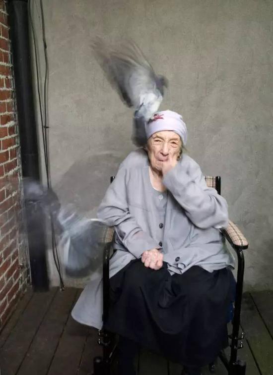 Alex Van Gelder - Louise Bourgeois