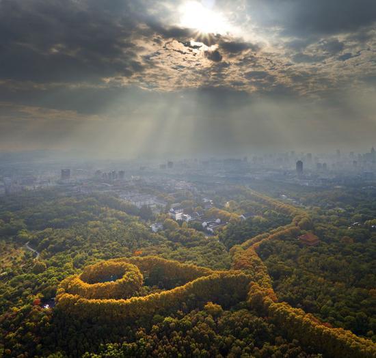 钟山