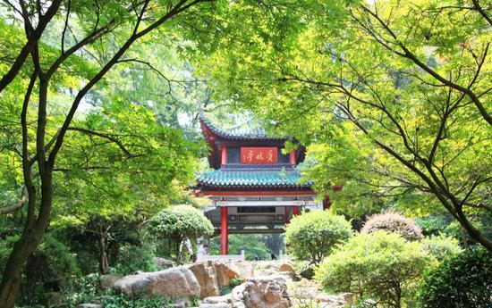 云台山