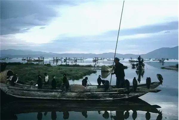 1982年,云南大理,洱海。
