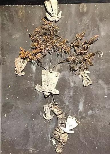 安塞姆·基弗(Anselm Kiefer), 每一个落下都有翅膀
