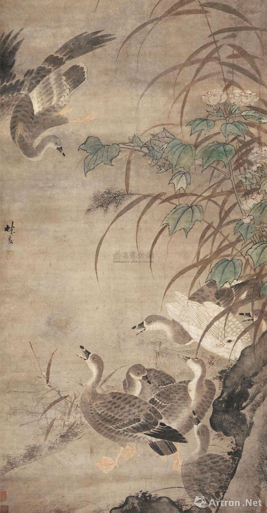 明 林良《芦雁图》 纸本设色 纵162厘米,横84.5厘米