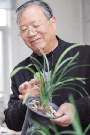 金定先在悉心侍养兰花