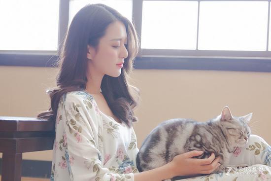 《嘿,猫咪。告诉我》