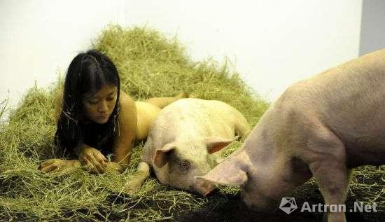 行为艺术家Miru Kim和猪一起生活