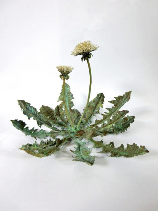 Shota Suzuki,《White Dandelion Japan》(2017)。图片:Courtesy of Ippodo Gallery。