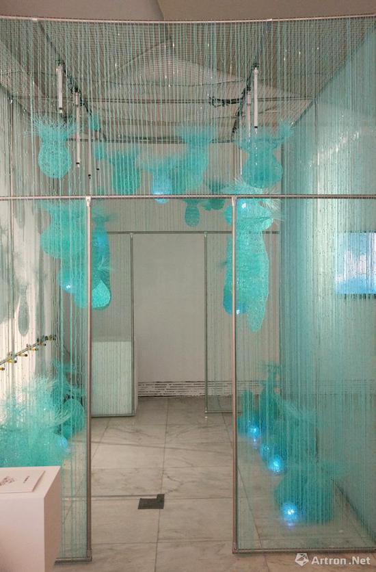 中央美院本科生毕业展:安慧中作品 浮游