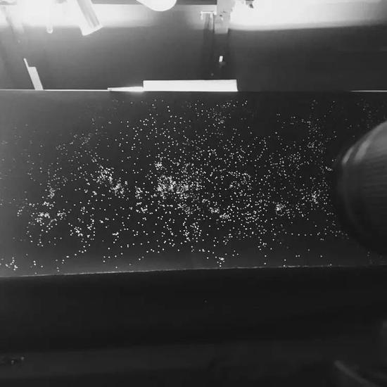 照片中的星星是通过在黑色纸张上打孔,并从纸张后面打开光源而成。