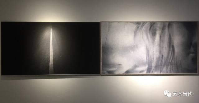 蔡广斌 东滩 水墨宣纸画布+影像画布 130X210cm 2010