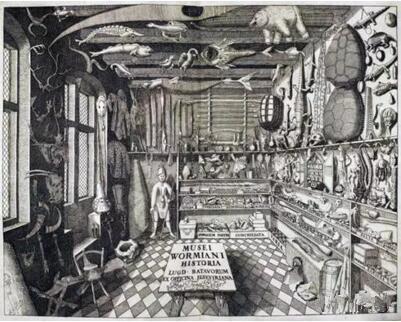 Herman Middendorp, 《Ole Worm的艺术房》,Musei Wormiani Historia, 1655年