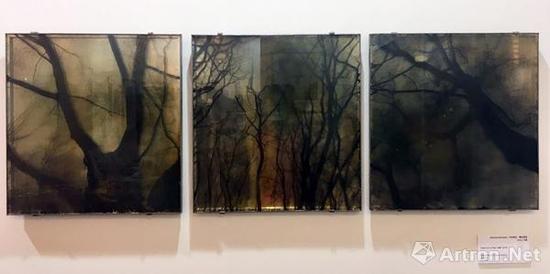 卡别耶拉·莫拉为兹 Trees from a Past 1998-2016 42x40cm 独版