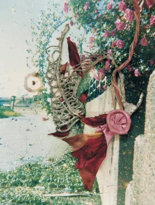 史蒂芬·吉尔,《哈克尼花朵》,2007