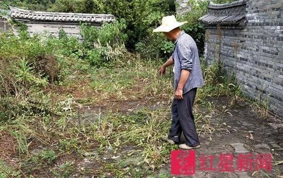 郑荣良说这就是他与盗墓贼搏斗的地方。图片来源红星新闻